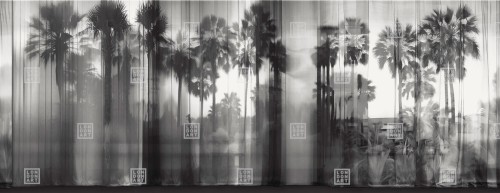 Fototapeta palmy London Art 24023 3 Ocean Drive Exclusive Wallpaper 2024