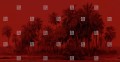 Fototapeta palmy London Art 24028 4 Marrakech Exclusive Wallpaper 2024