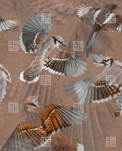 Fototapeta ptaki London Art 24046 3 Symphoni Exclusive Wallpaper 2024