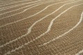 Dywan zewnętrzny linie Duna Carpet Decor Outdoor/Indoor