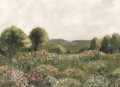 Mural krajobraz natury Boras Tapeter Studio 9595W Agnes Medow Garden Collection