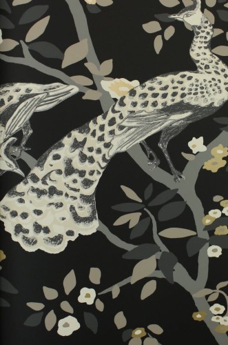 Tapeta botaniczna pawie York Wallcoverings BW3802 Plume Black & White