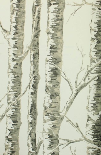 Tapeta brzozy York Wallcoverings BW3901 Paper Birch Black & White