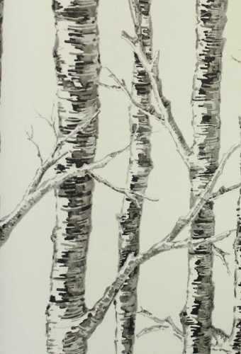 Tapeta brzozy York Wallcoverings BW3902 Paper Birch Black & White