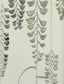 Tapeta roślinna York Wallcoverings BW3943 Deco Wisteria Black & White
