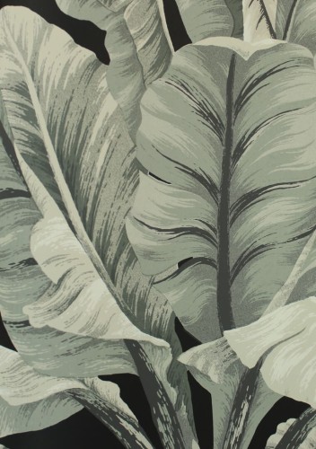 Tapeta liście bananowca York Wallcoverings BW3971 Banana Leaf Black & White