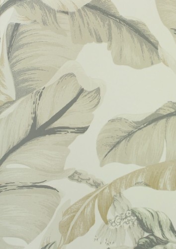 Tapeta liście bananowca York Wallcoverings BW3972 Banana Leaf Black & White