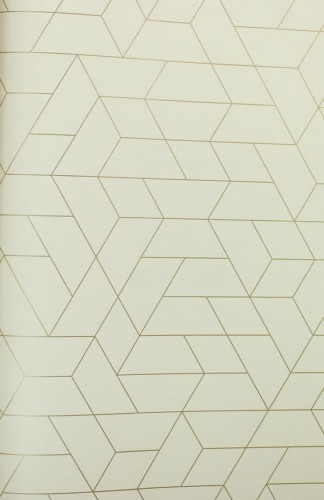 Tapeta geometryczna York Wallcoverings SW7456 Point Of View Black & White