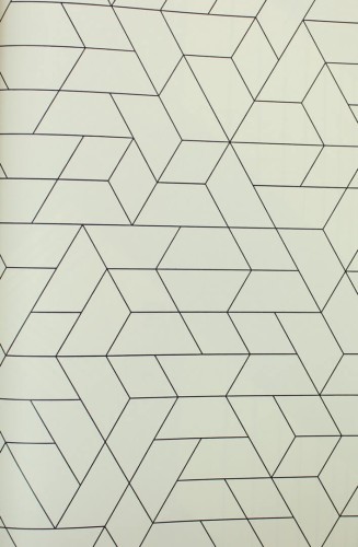 Tapeta geometryczna York Wallcoverings SW7457 Point Of View Black & White