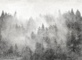 Fototapeta zamglony las Tecnografica 73179-2 YUKONIC BLACK