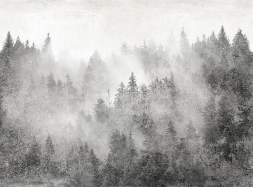 Fototapeta zamglony las Tecnografica 73179-2 YUKONIC BLACK