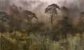 Fototapeta amazońska dżungla Tecnografica 83523-2 YAGE BROWN