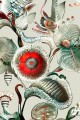 Tapeta tekstylna botaniczna Arte Moooi Coccinella Bella MO5000 Green House