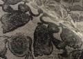 Tapeta tekstylna botaniczna żakard Arte Moooi Coccinella Bella Jacquard MO5002 Green House