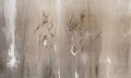 Fototapeta artystyczna z ptakami Wall Art Aves