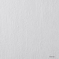 Fototapeta liście paproci Wallcraft Blurri 835312401