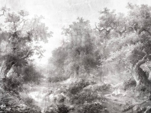 Fototapeta krajobraz lasu Wallcraft Nimista 875332401