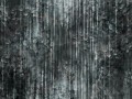 Fototapeta pnącza bluszczu Wallcraft Sherra 895322401