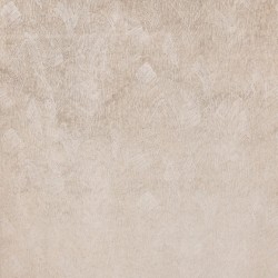 Tkanina aksamit z delikatnym nadrukiem Black Edition 9160/01 Onuma Tsauri