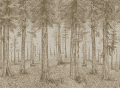 Mural tekstylny krajobraz lasu Pierre Frey FP803001 A Thousand Redwoods The Cult Of Beauty