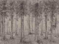Mural tekstylny krajobraz lasu Pierre Frey FP803002 A Thousand Redwoods The Cult Of Beauty