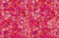 Fototapeta florystyczna London Art TDV2GP402_1 Berkshire Poppies The Daydreamer Vol.2