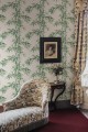 Tapeta pędy bambusa Sandberg S10443 Leon Garden Green Palm Garden