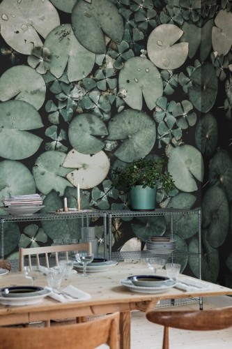 Fototapeta lilie wodne Rebel Walls R18843 Water Lilies Green Mystic Shades