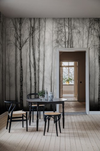 Fototapeta zamglony brzozowy las Rebel Walls R18847 Birch Fog Black White Mystic Shades
