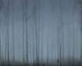 Fototapeta zamglony brzozowy las Rebel Walls R18849 Birch Fog Blue Mystic Shades