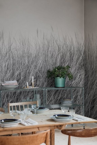 Fototapeta krajobraz natury Rebel Walls R18851 Scandinavian Reed Black White Mystic Shades