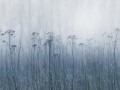 Fototapeta jesienna łąka Rebel Walls R18855 Autumn Haze Blue Mystic Shades