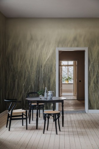 Fototapeta pola zbóż Rebel Walls R18859 Rye Field Green Mystic Shades