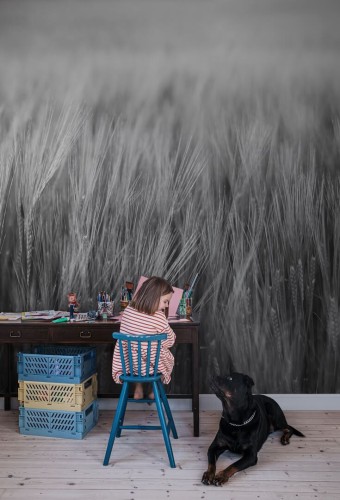 Fototapeta pola zbóż Rebel Walls R18861 Rye Field Black White Mystic Shades