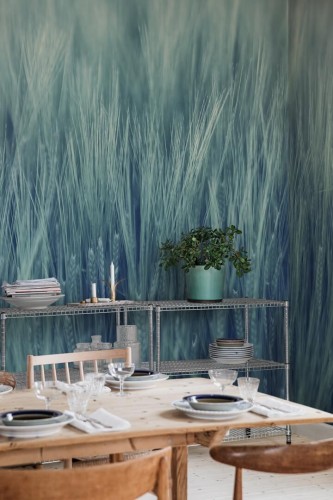 Fototapeta pola zbóż Rebel Walls R18862 Rye Field Tuquoise Mystic Shades