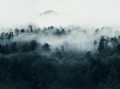 Fototapeta zamglony las Rebel Walls R18863 Misty Woodland Blue Mystic Shades