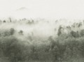 Fototapeta zamglony las Rebel Walls R18865 Misty Woodland Light Green Mystic Shades