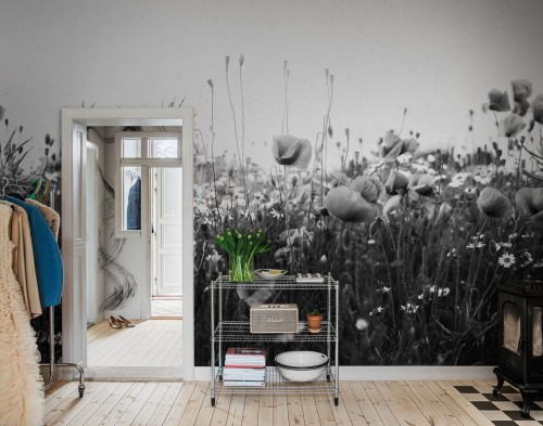 Fototapeta polne kwiaty maki Rebel Walls R18871 Poppy Field Black White Mystic Shades