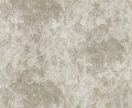 Fototapeta roślinna Rebel Walls R18876 Grapevine Silhouette Beige Mystic Shades