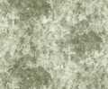 Fototapeta roślinna Rebel Walls R18877 Grapevine Silhouette Green Mystic Shades