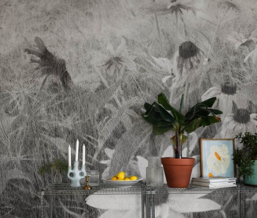 Fototapeta polne kwiaty w stylu vintage Rebel Walls R20175 Dreamy Rudbeckia Black White Mystic Shades