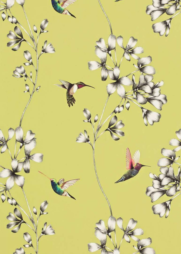 2ebdd20ab30d821987cedd52ad229764