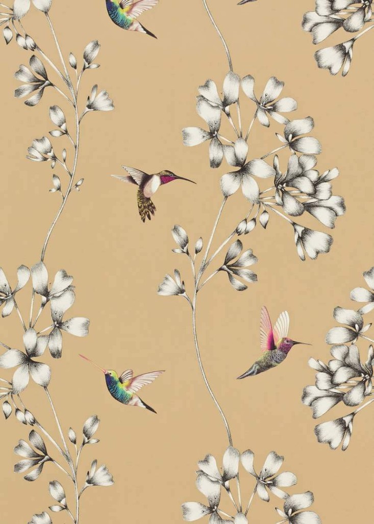 0342d0d5cd93a52129d7ec6603695771