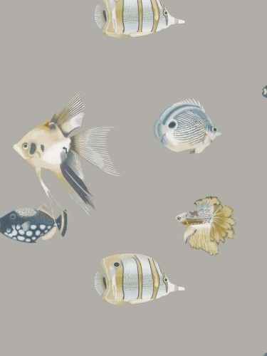 Tapeta ryby Harlequin 111646 Kamanu Idyllic