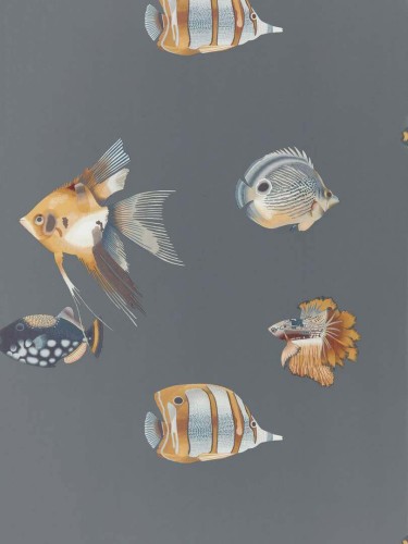 Tapeta ryby Harlequin 111648 Kamanu Idyllic