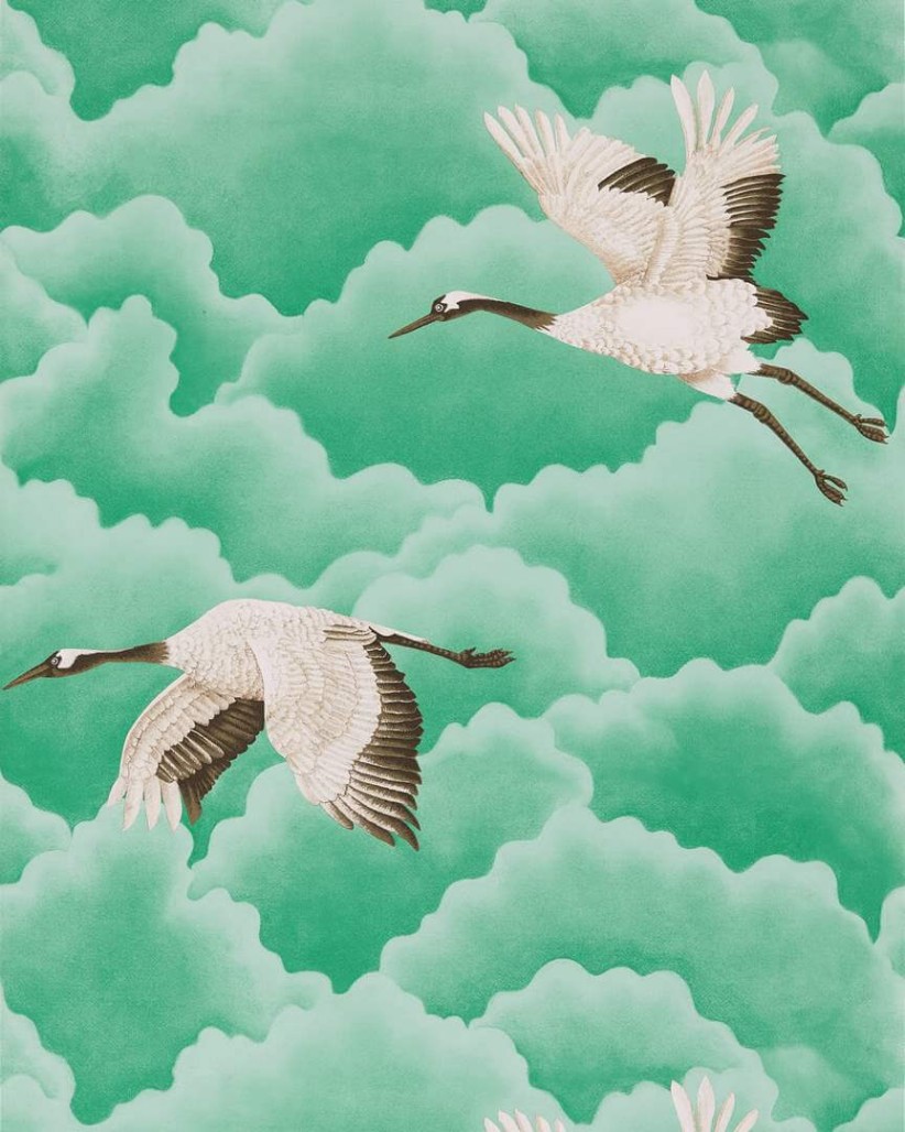 1afac439363491182a11650ab7eb7cbb