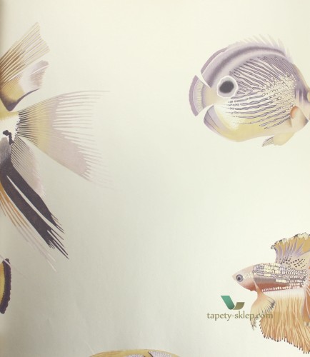 Tapeta Harlequin 111647 Kamanu Anthozoa