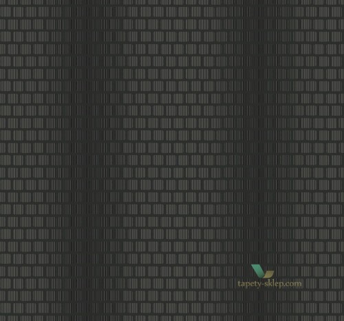 Tapeta BW22606 Black & White