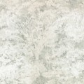 Tapeta drzewa Romo W468/03 Sikora Ottavia