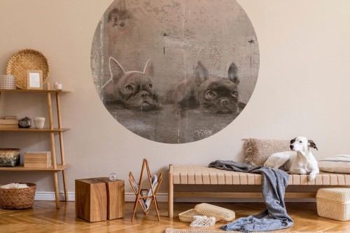 Mural okrągły artystyczny z psami i kotem Wall Art Siesta Koło
